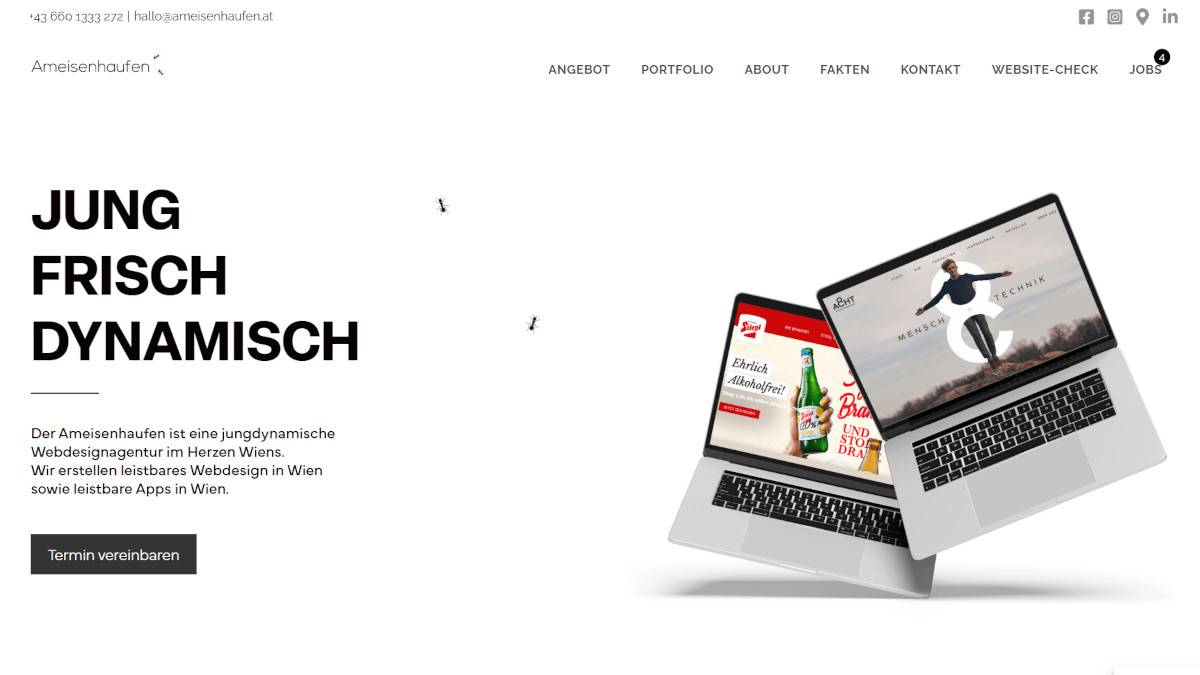 A visual selected by Ameisenhaufen GmbH for its website