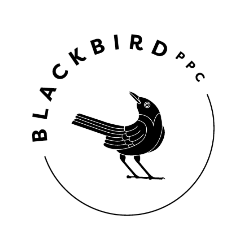 A visual selected by Blackbird PPC for its website