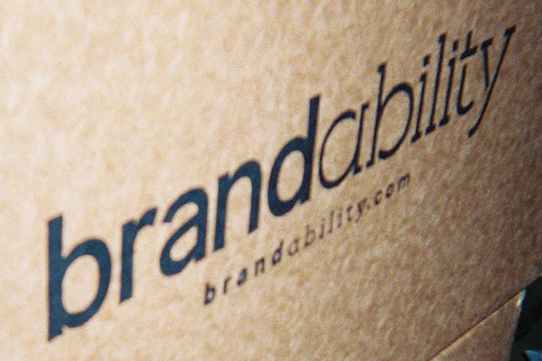 A visual selected by Brandability, Inc. for its website