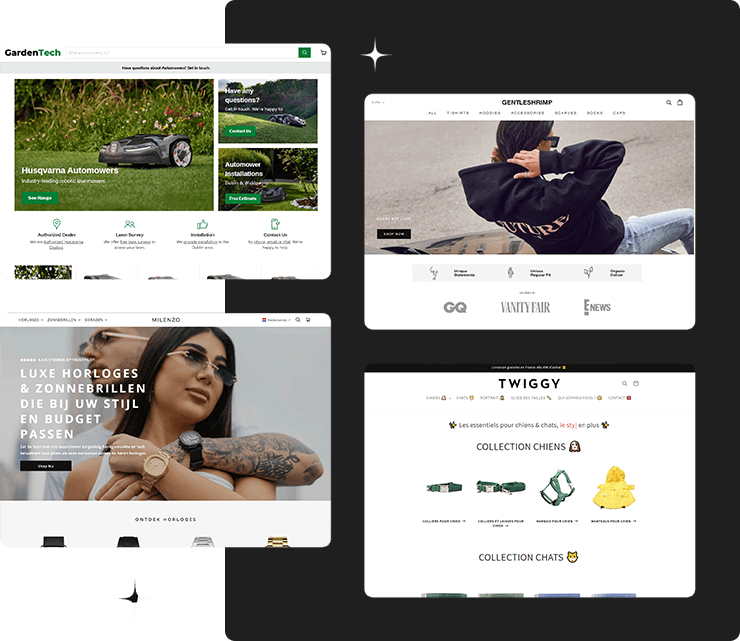 A visual selected by Brisk Developers for its website