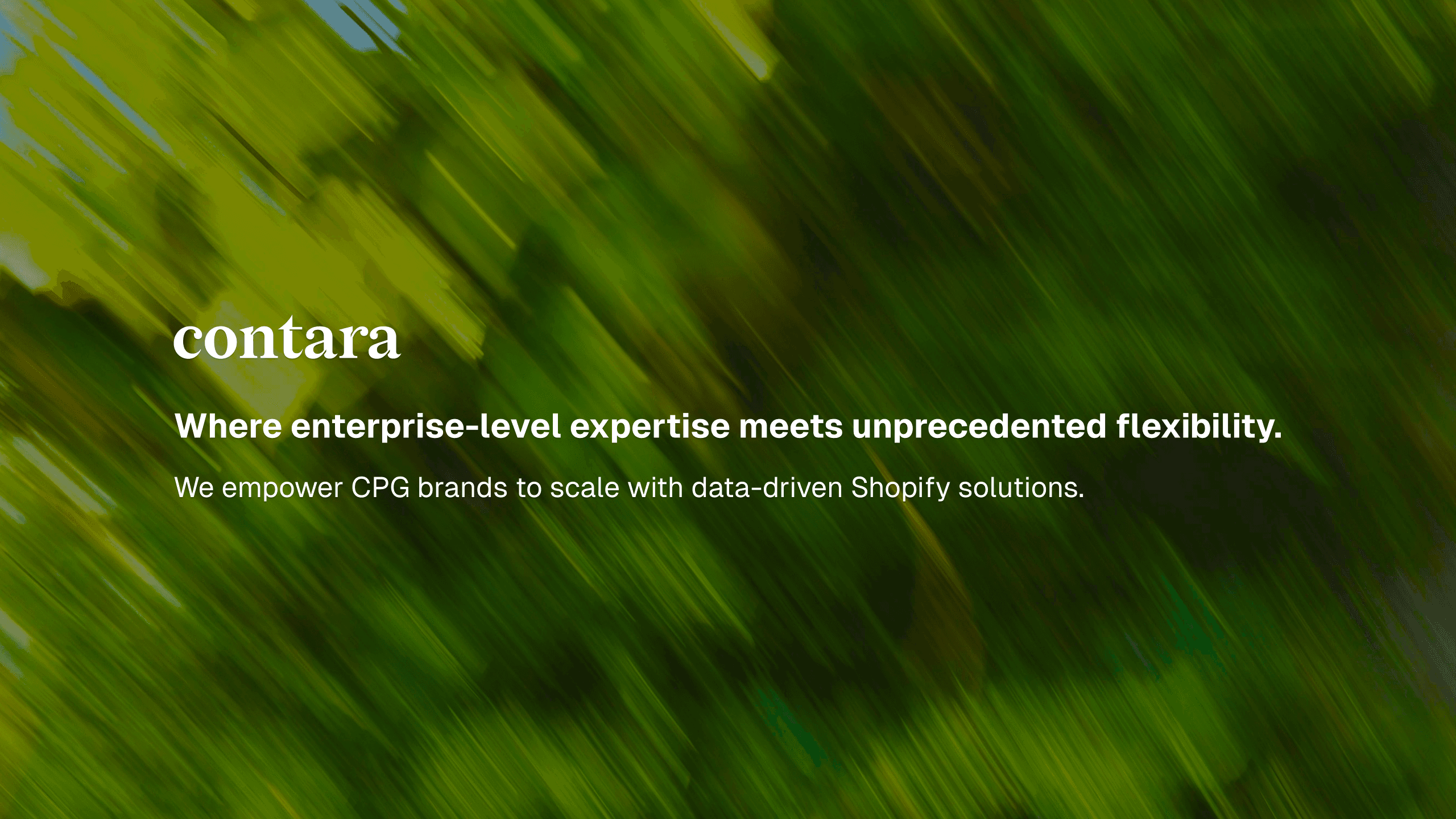A visual selected by Contara for its website