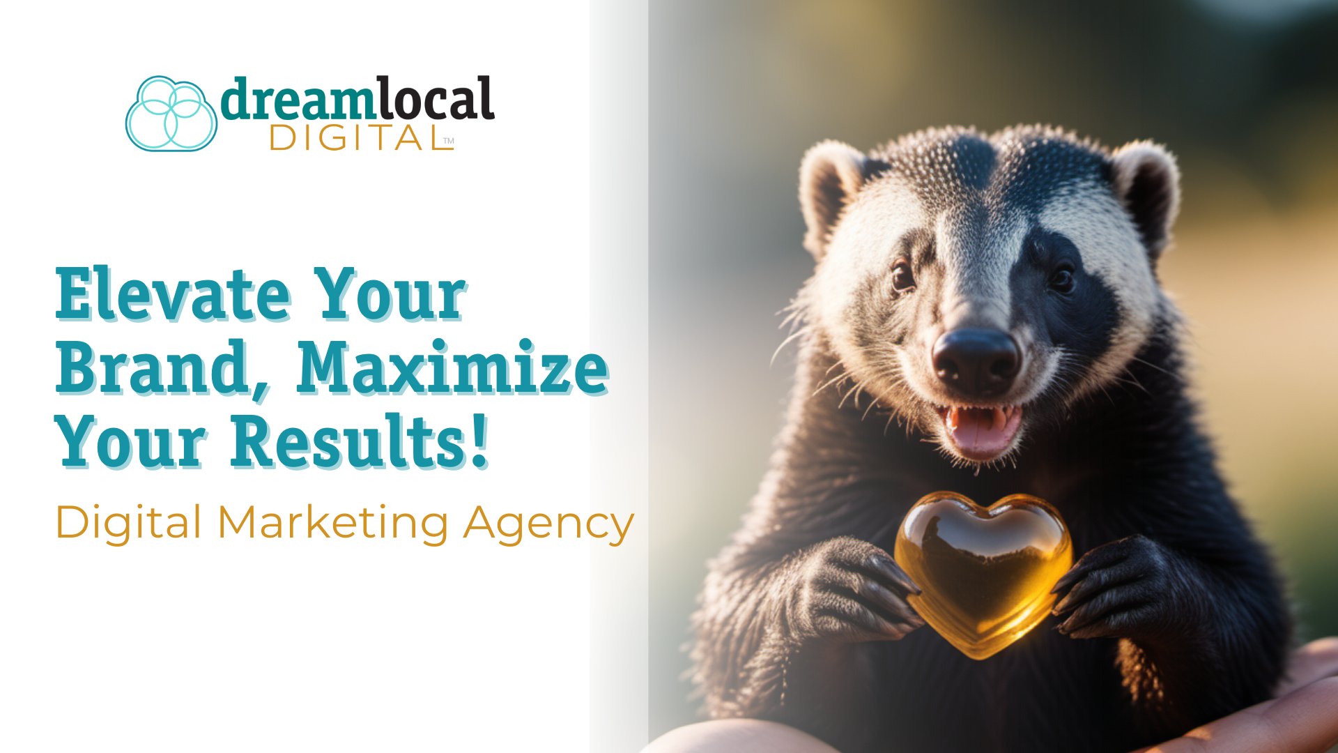 A visual selected by Dream Local Digital for its website