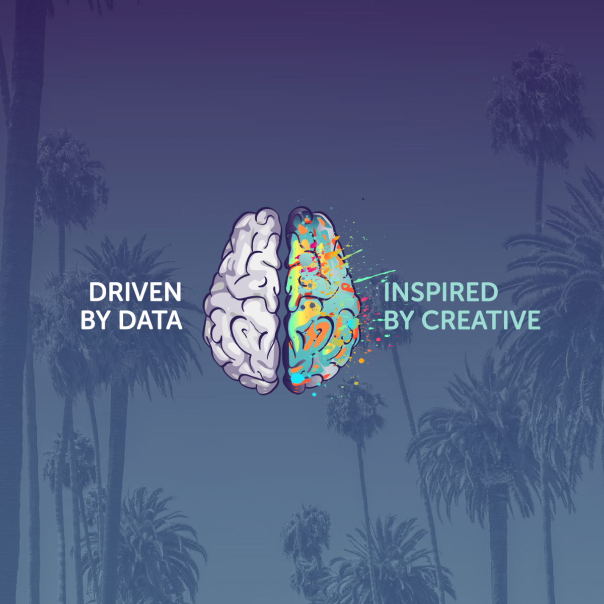 A visual selected by Elevate My Brand for its website