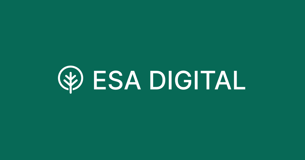 A visual selected by ESA Digital Ltd. for its website