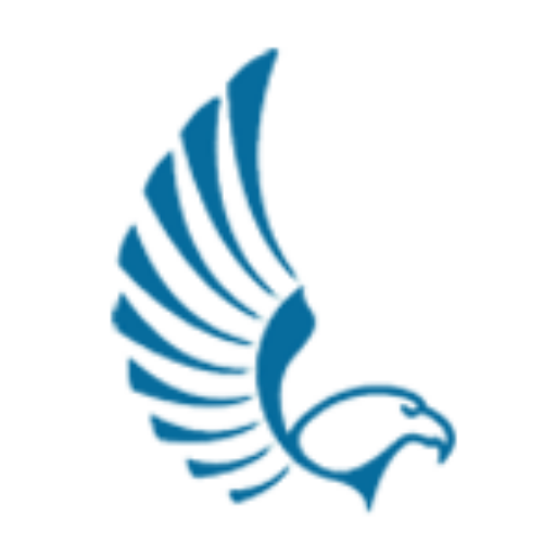 A visual selected by Falcon Digital Marketing for its website