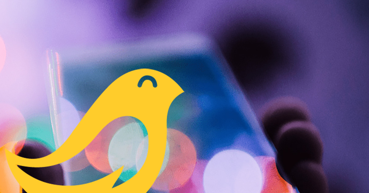 A visual selected by FindCanary for its website