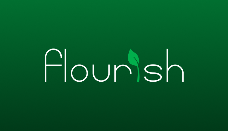 A visual selected by Flourish Software for its website