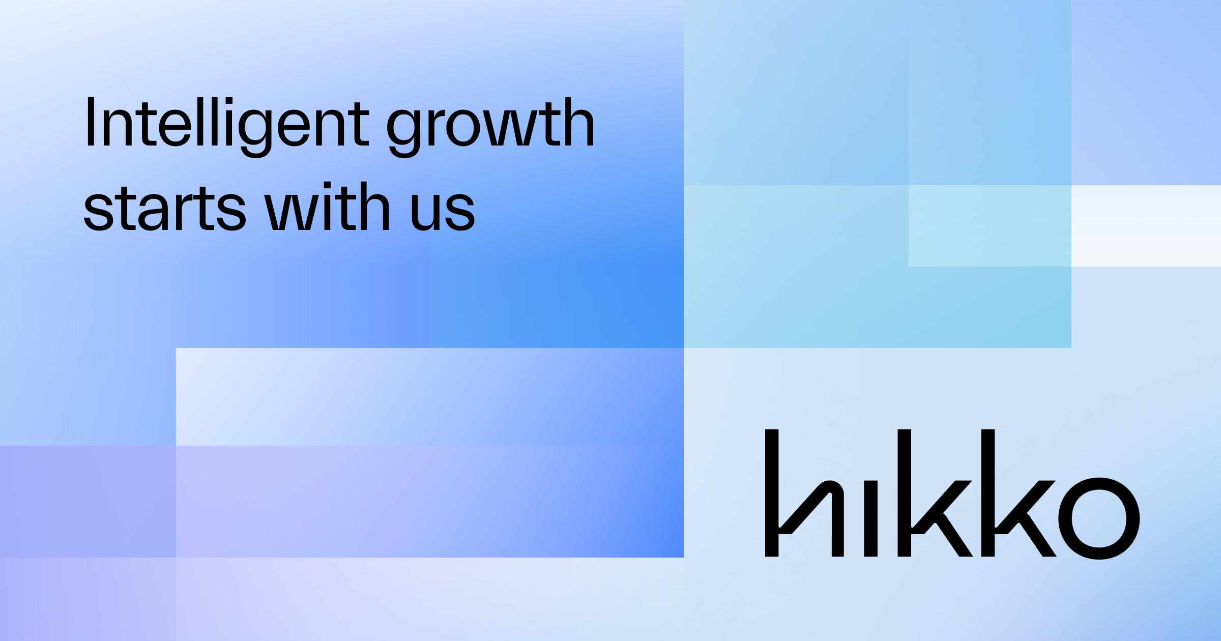 A visual selected by Hikko for its website