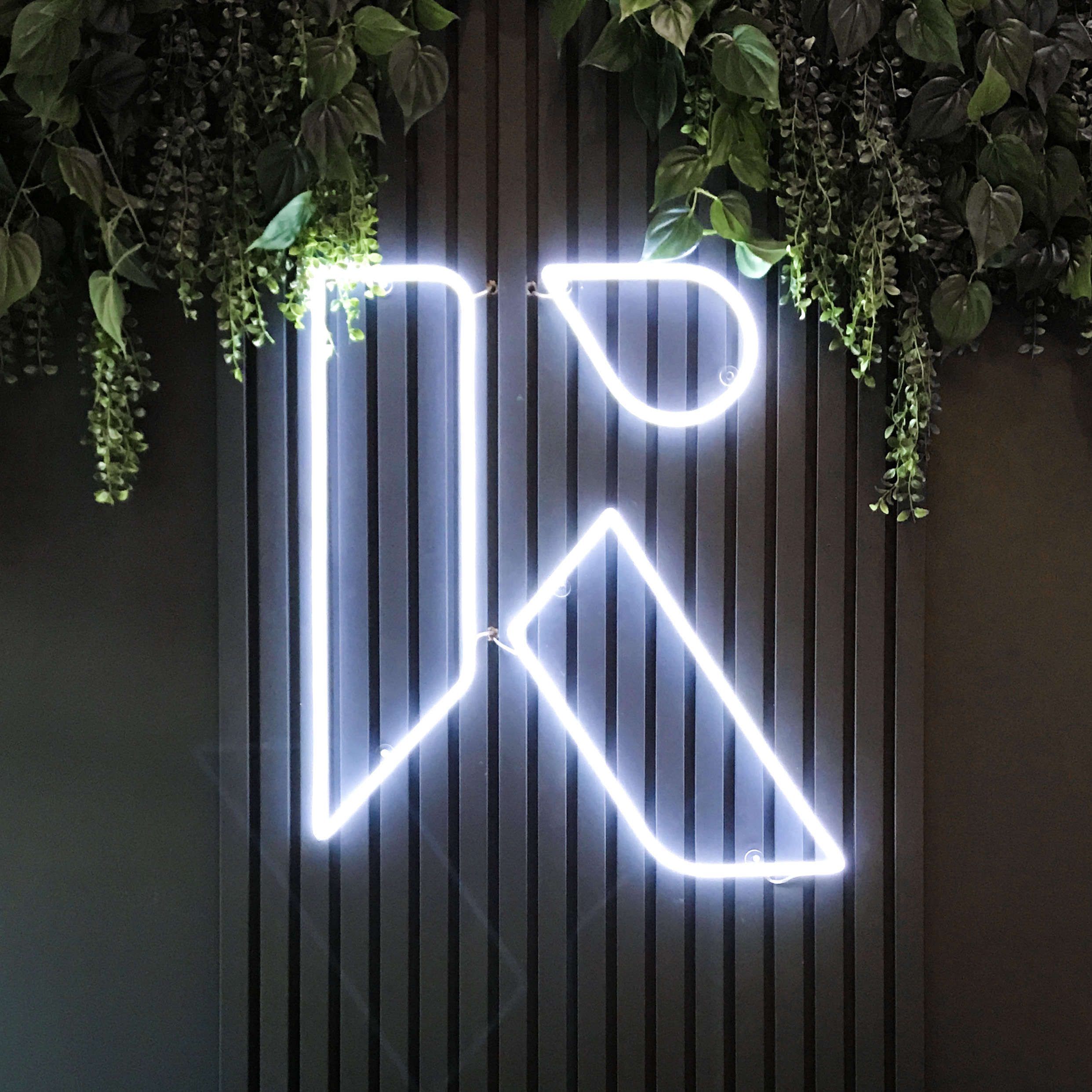 A visual selected by Kanvas Studio for its website