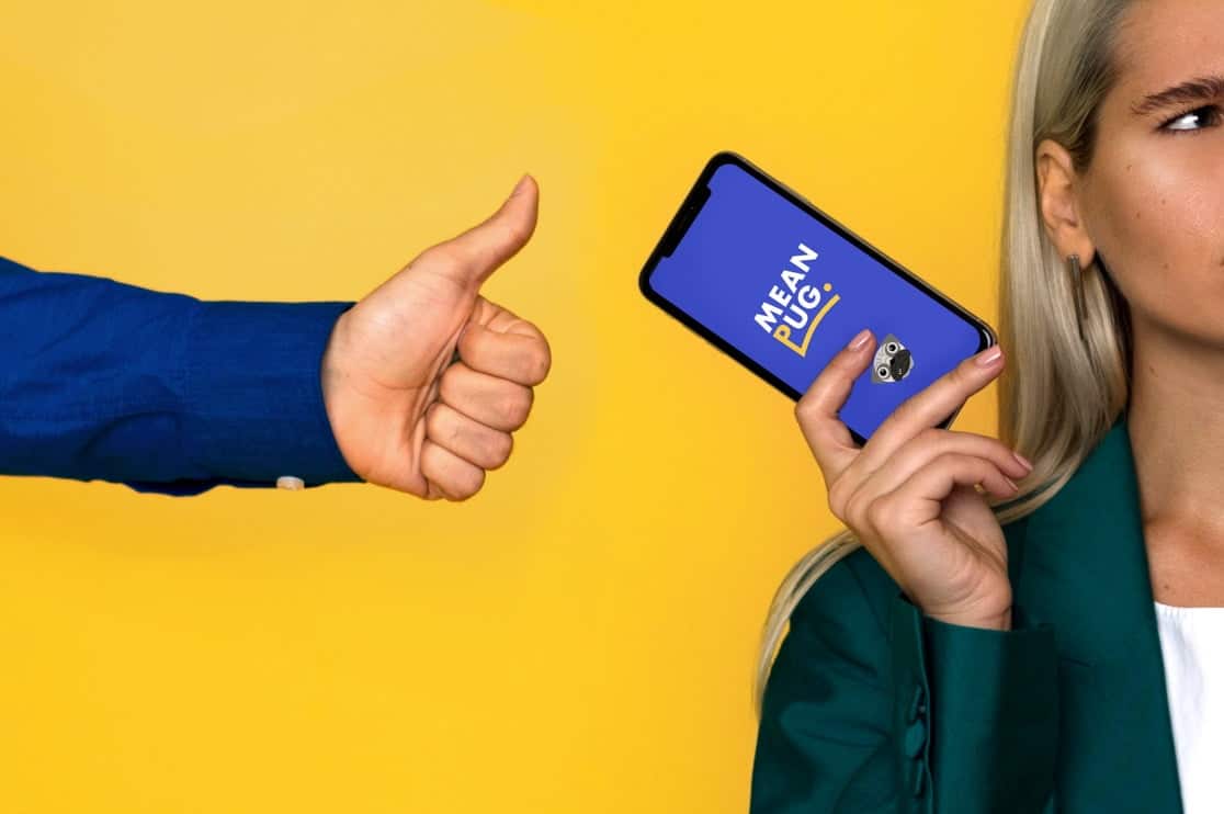 A visual selected by MeanPug Digital for its website