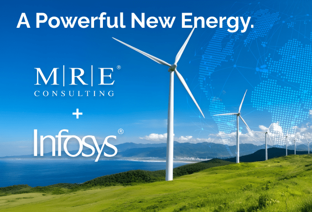 A visual selected by MRE Consulting, Ltd. for its website