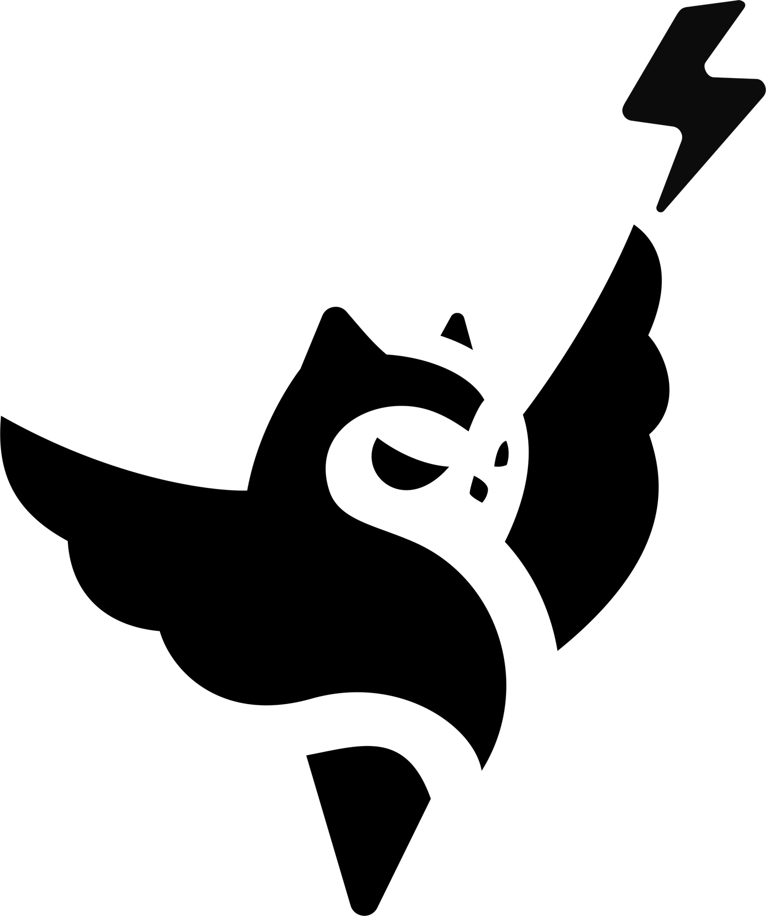 A visual selected by Noctua Systems for its website