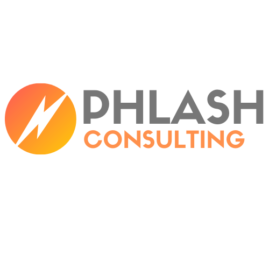 A visual selected by Phlash Consulting for its website