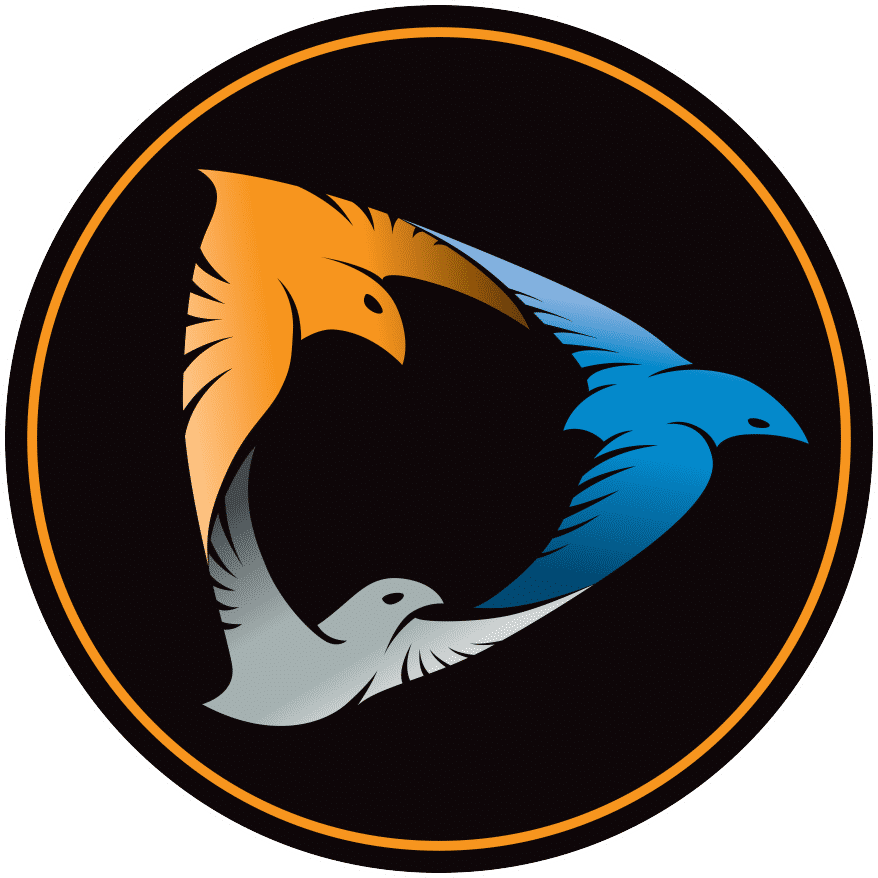 A visual selected by Three Bird Creative Group for its website