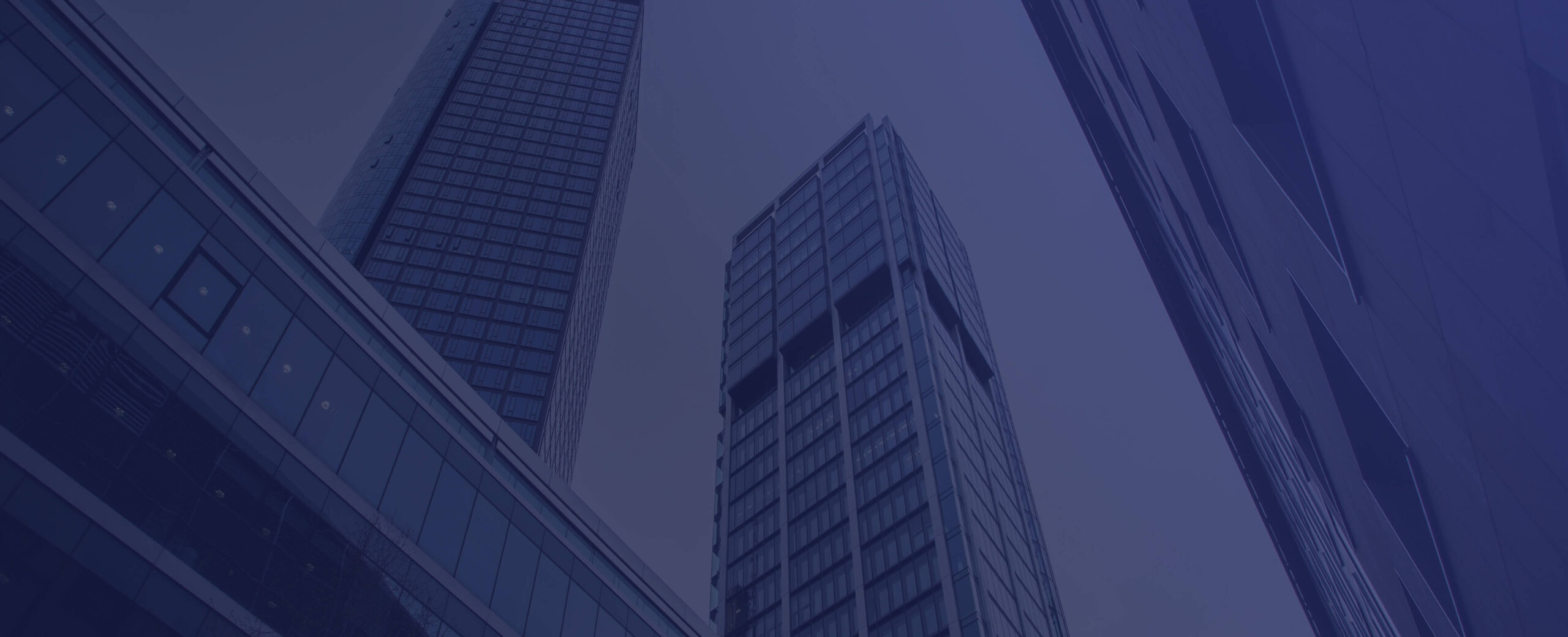 A visual selected by VRP Consulting for its website