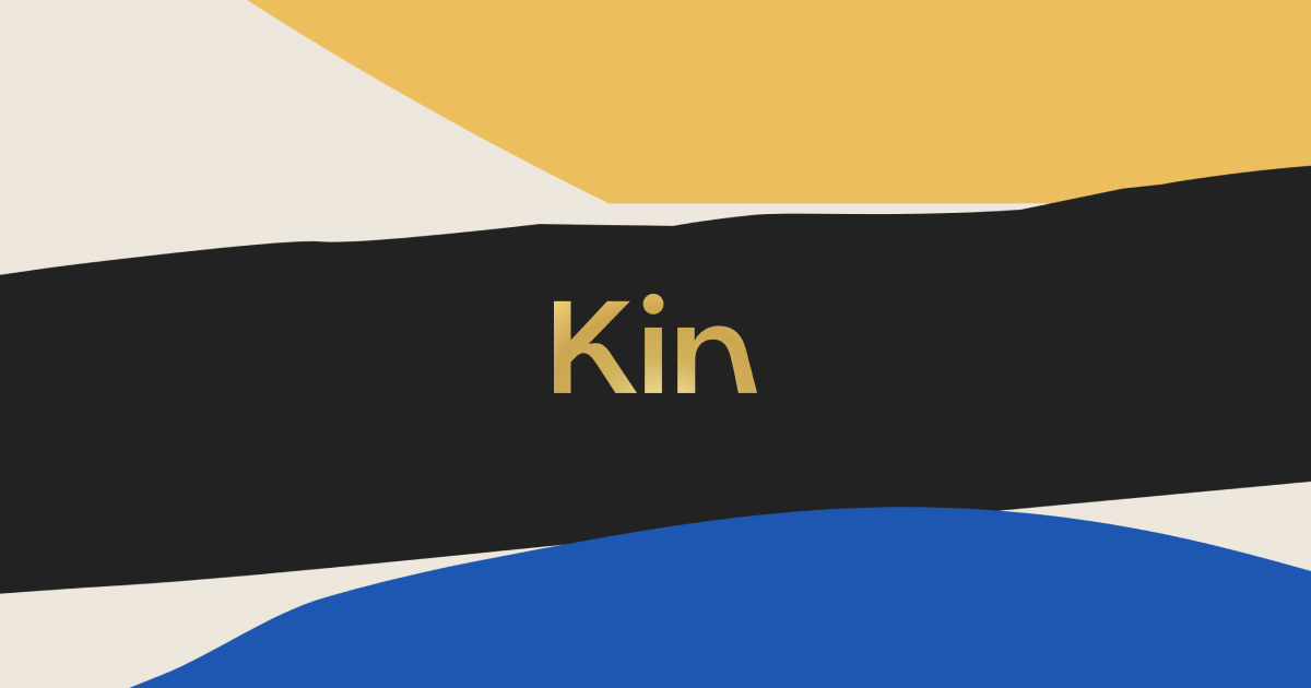 A visual selected by Kin for its website